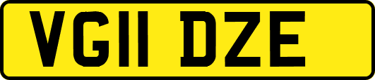 VG11DZE