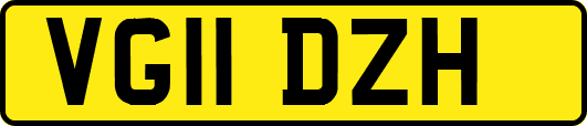 VG11DZH