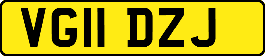 VG11DZJ