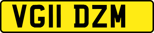 VG11DZM