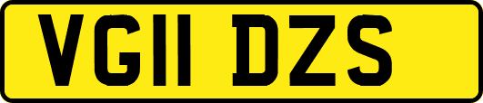 VG11DZS