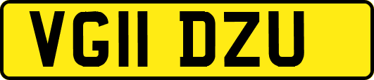 VG11DZU