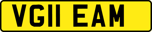 VG11EAM