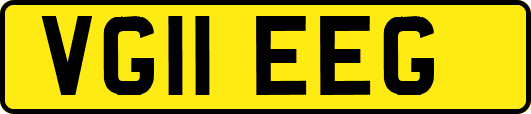 VG11EEG