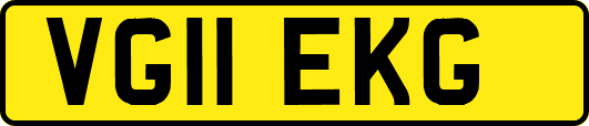 VG11EKG