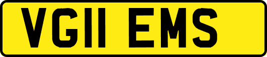 VG11EMS
