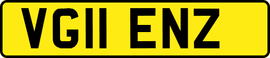 VG11ENZ