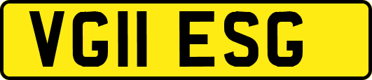 VG11ESG