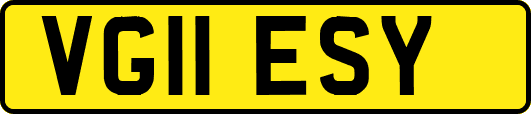 VG11ESY