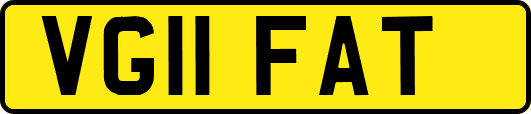 VG11FAT