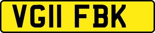 VG11FBK