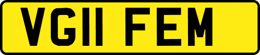 VG11FEM