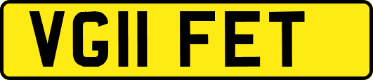 VG11FET