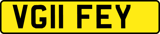 VG11FEY