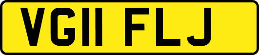 VG11FLJ