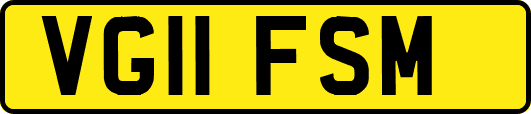 VG11FSM