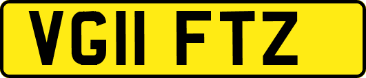 VG11FTZ