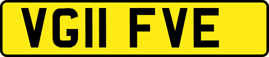 VG11FVE