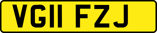VG11FZJ