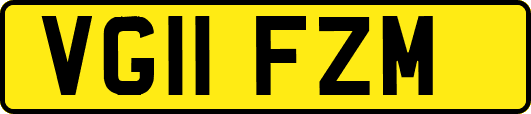 VG11FZM