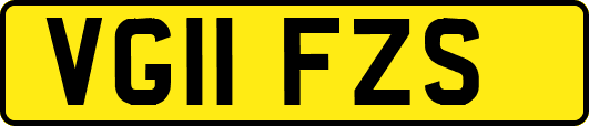 VG11FZS