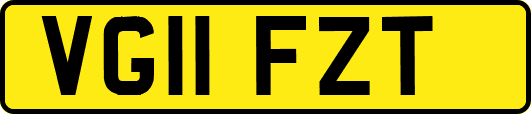 VG11FZT