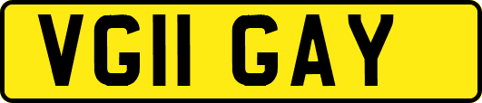 VG11GAY