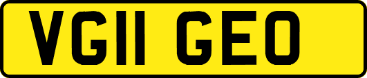 VG11GEO