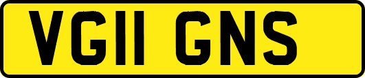VG11GNS