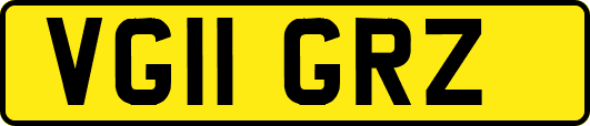 VG11GRZ
