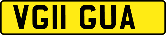 VG11GUA