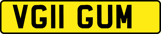 VG11GUM