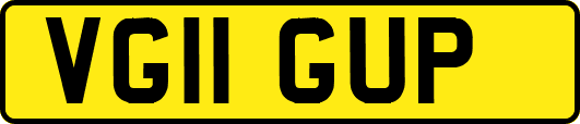 VG11GUP