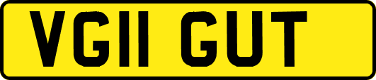 VG11GUT