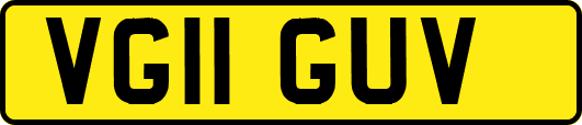 VG11GUV