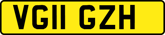 VG11GZH