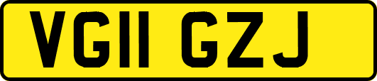 VG11GZJ