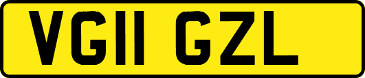 VG11GZL