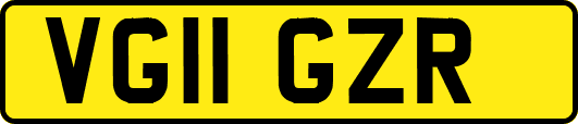 VG11GZR