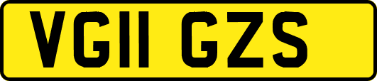 VG11GZS