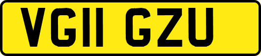 VG11GZU