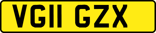 VG11GZX