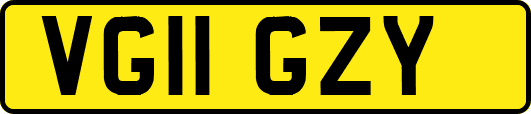 VG11GZY