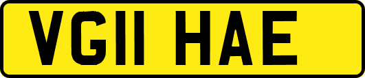 VG11HAE