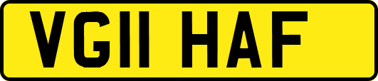VG11HAF