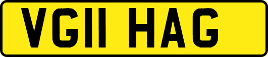 VG11HAG