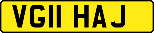 VG11HAJ