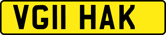 VG11HAK