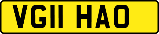 VG11HAO