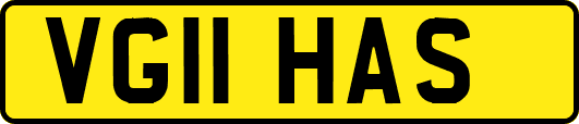 VG11HAS